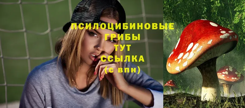 Псилоцибиновые грибы MAGIC MUSHROOMS  Подольск 